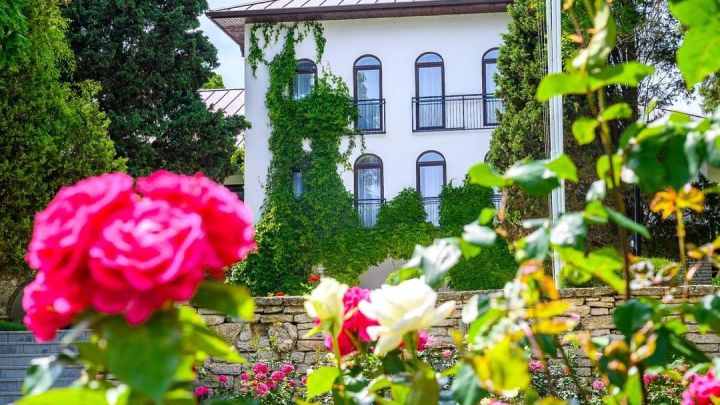 Royal Club Konzept